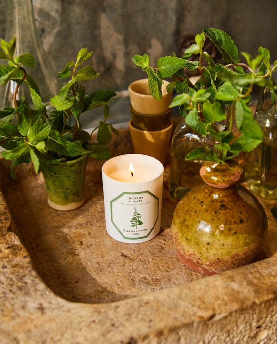 Spearmint - Mentha Spicata （薄荷） Carriere Freres Scented Candle 185g