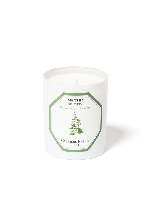 Spearmint - Mentha Spicata （薄荷） Carriere Freres Scented Candle 185g
