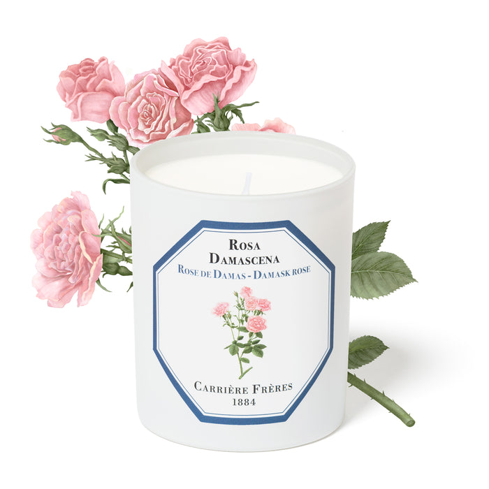 Damask Rose - Rosa Damascena Carrière Frères Scented Candle 185g