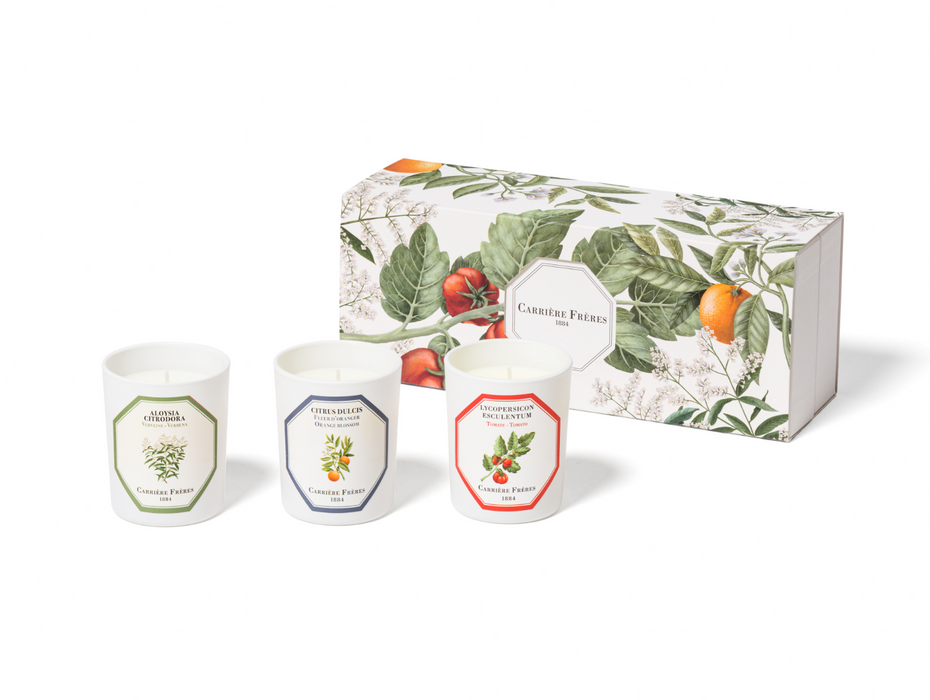 Botanical Set - Carrière Frères Scented Candle 90g x 3