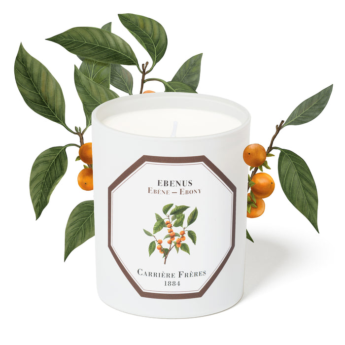 Ebony - Ebenus Carrière Frères Scented Candle 185g