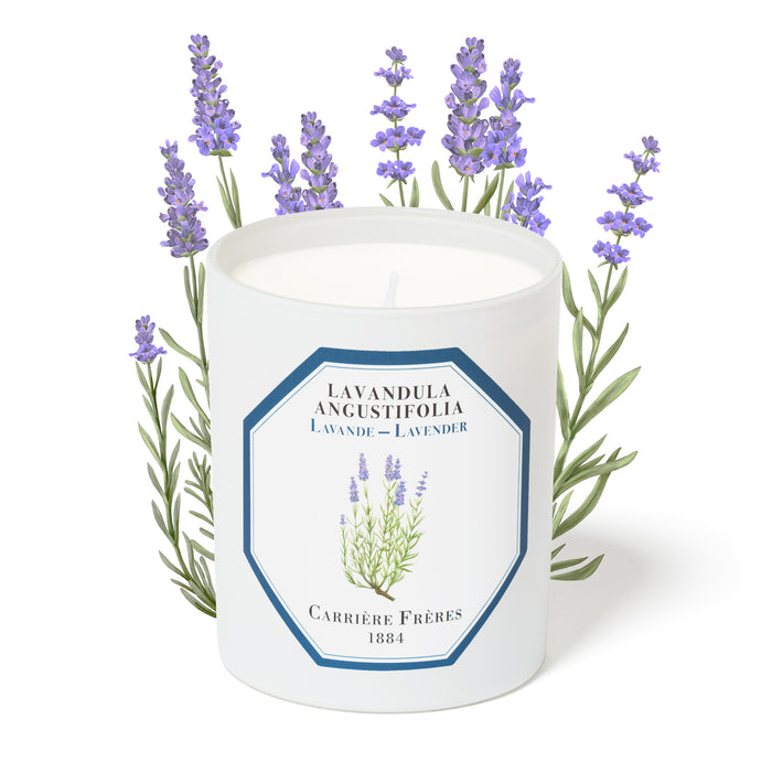 Lavender - Lavandula Angustifolia Carrière Frères Scented Candle 185g