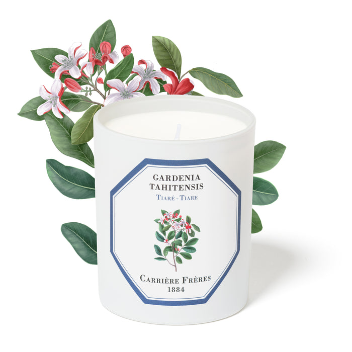 Tiare - Gardenia Tahitensis (梔子花) Carriere Freres Scented Candle 185g
