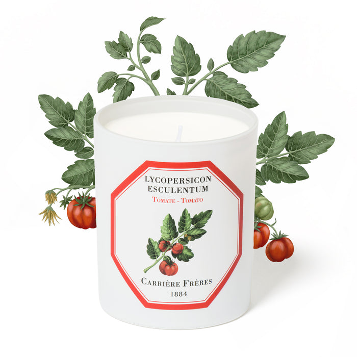 Tomato - Lycopersicon Esculentum Carriere Freres Scented Candle 185g