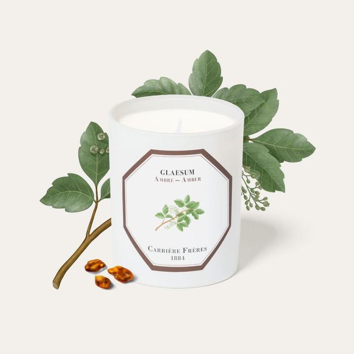 Amber - Carriere Freres Candle / CLOUD HK/