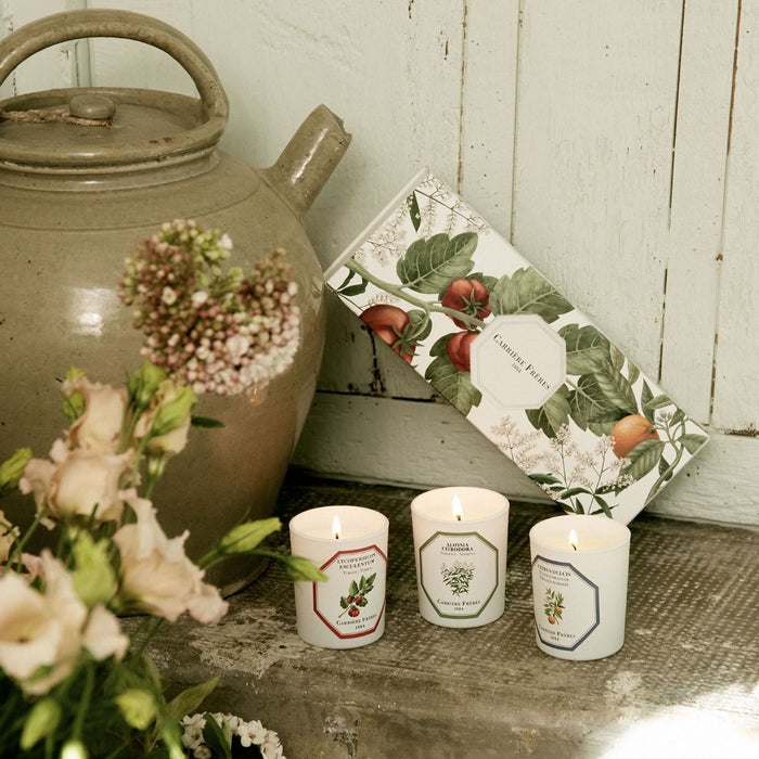 Botanical Set - Carrière Frères Scented Candle 90g x 3